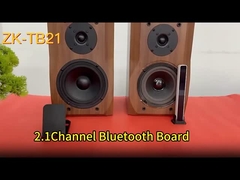 CA-TB21 2.1 قناة BT Subwoofer Amplifier لوحة صوتية 2 * 50W + 100W 12-24V AMP