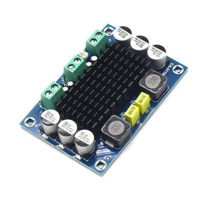 CA-3116D لوح مكبر صوتي أصلي 100W مونو مع شريحة TPA3116D2 وإدخال 12-24V