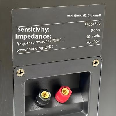 بدلة: مجموعة مكبرات صوت منزلية ثلاثية الاتجاهات مطلية بإعصار رقم 8 مع مكبر صوت SR8800 ومضخم صوت 10 بوصة