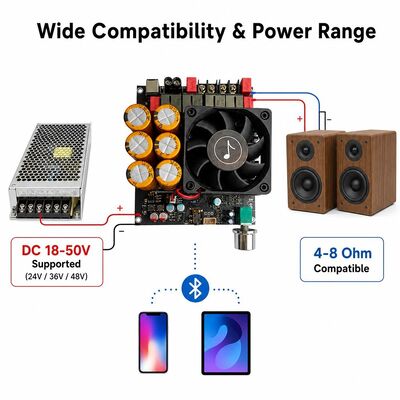 600W + 600W TPA3255 لوحة مكبر مزدوج الهواء التبريد المروحة الفئة D لوحة مكبر ستيريو DC18-50V